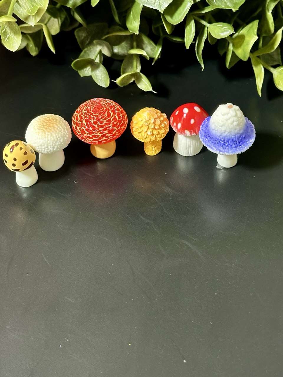 Miniature Mushrooms Set – 6 pcs | Fairy Garden Accessories