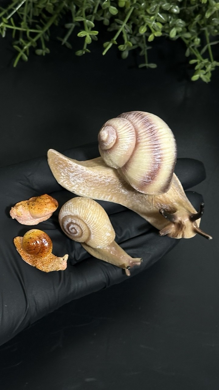 Silicone Mold Realistic Snails Set
