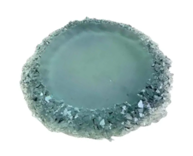 Large 13cm Round Crystal Edge Mold for Coasters and Trays
