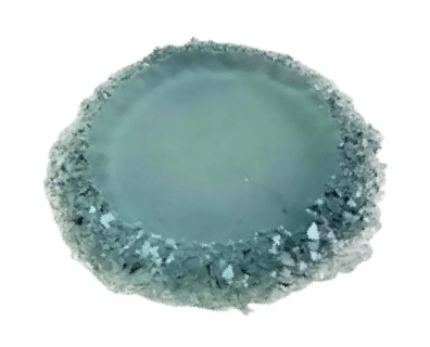 Large 13cm Round Crystal Edge Mold for Coasters and Trays - Ideas Decor Shop