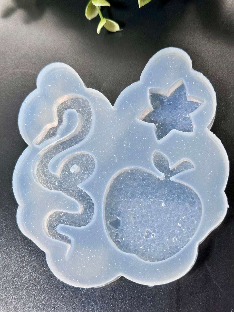 Druzy Crystal Snake Apple Star Silicone Mold