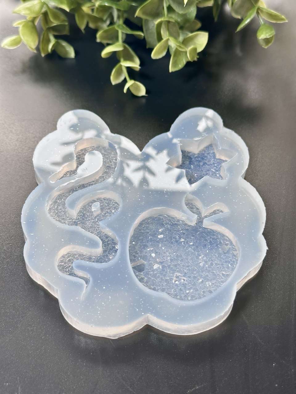 Druzy Crystal Snake Apple Star Silicone Mold