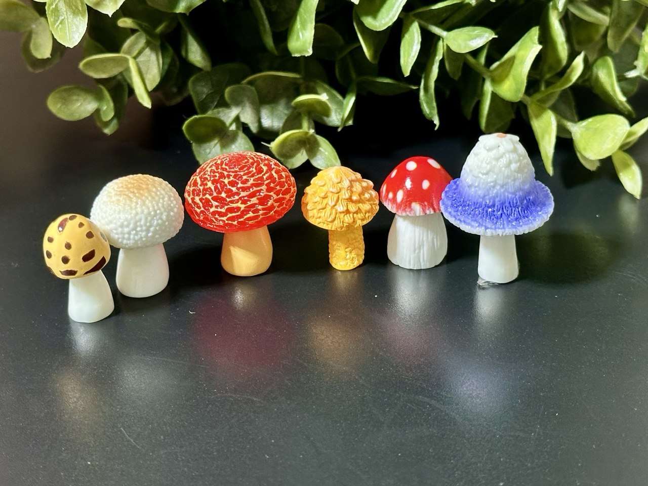 Miniature Mushrooms Set – 6 pcs | Fairy Garden Accessories