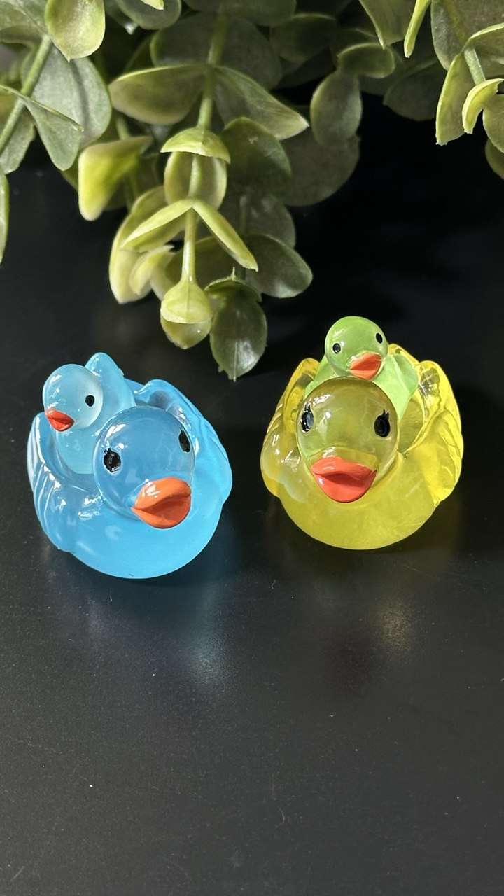Mama & Baby Duck Silicone Mold Set