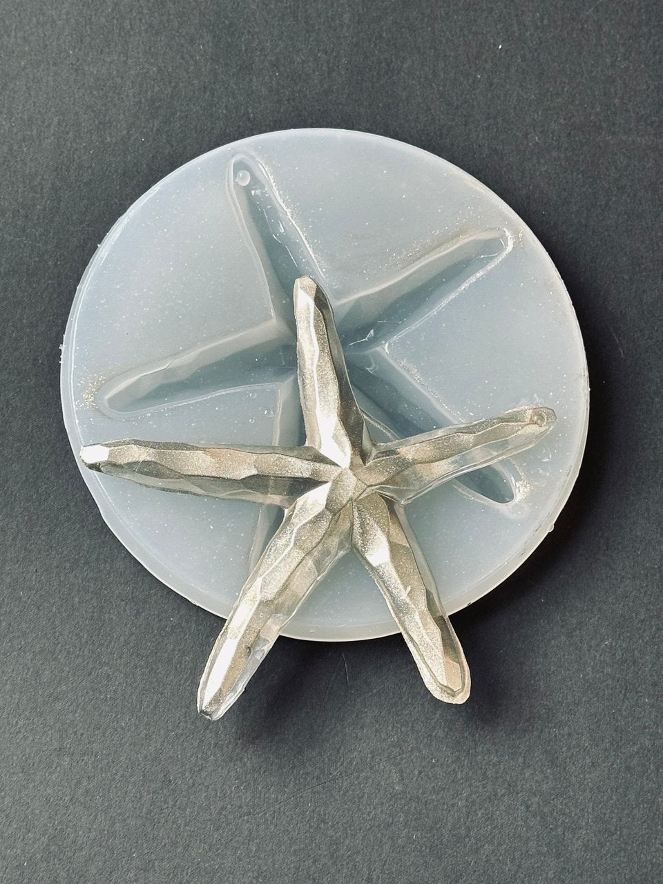 Large Starfish Silicone Mold for Resin