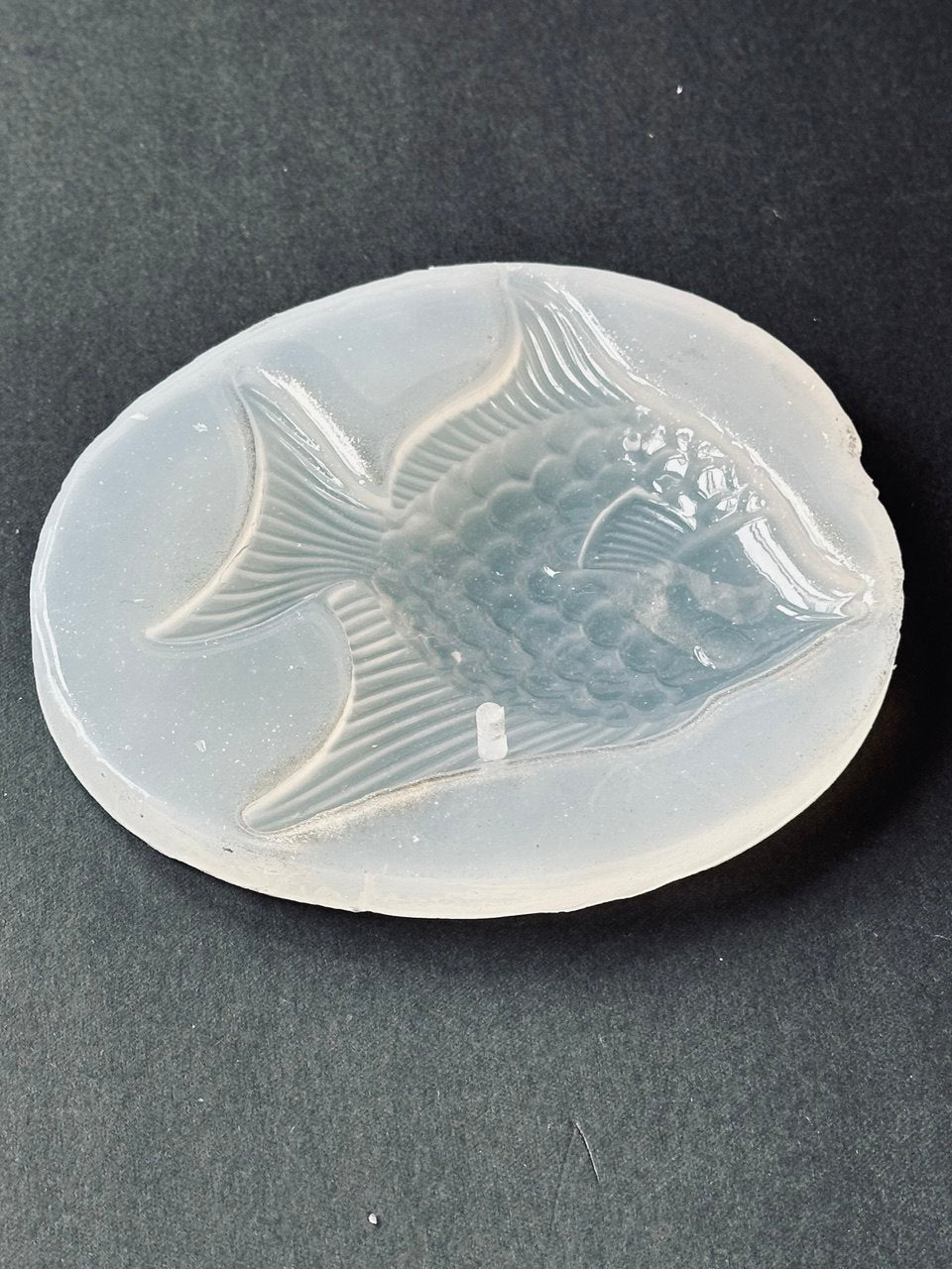 Large Fish Silicone Mold for Resin