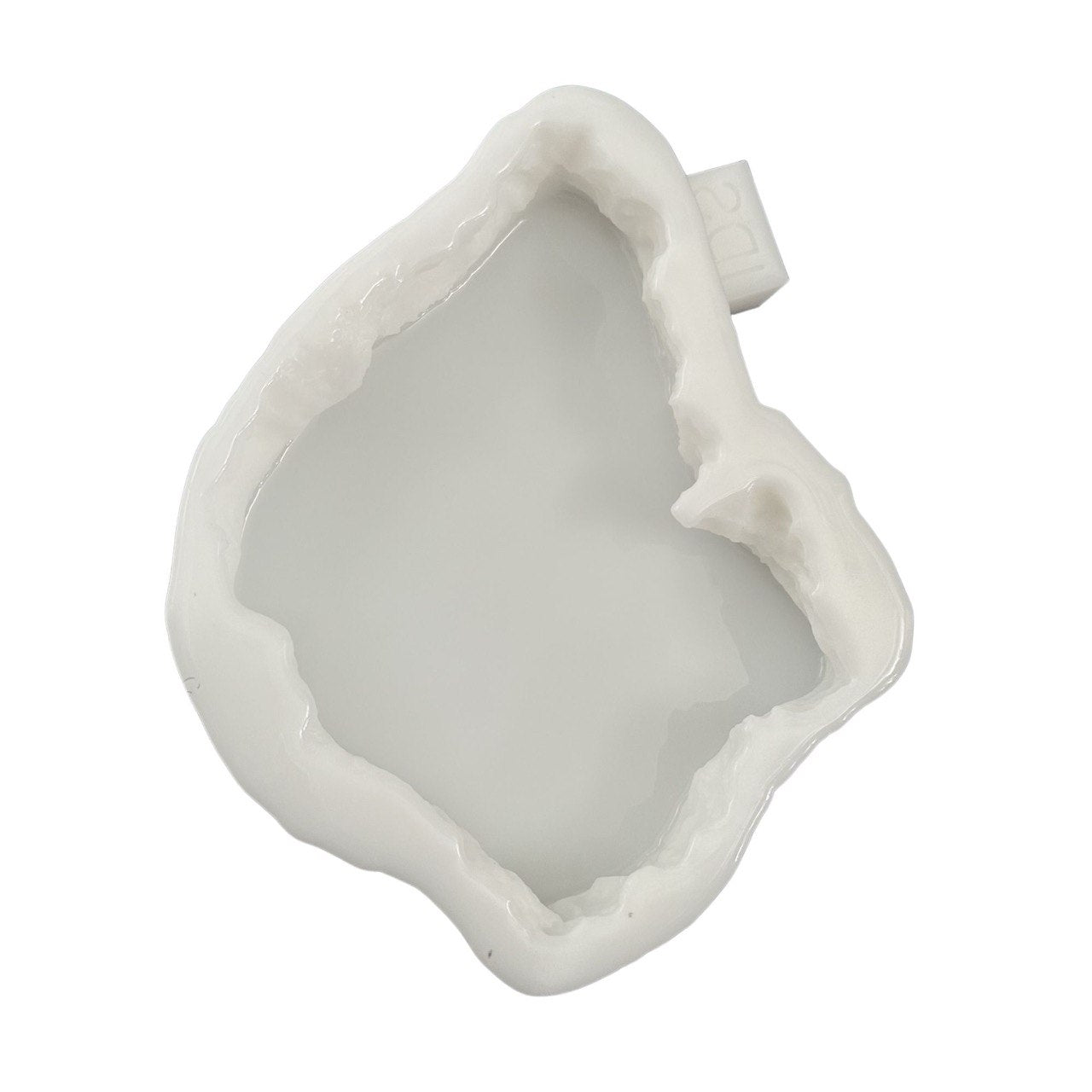 Modern Irregular Edge Silicone Tray Mold | 17×14 cm