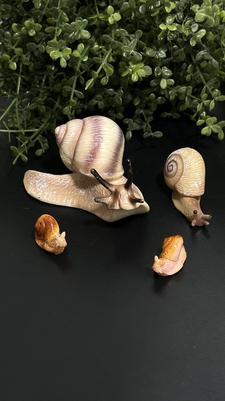 Silicone Mold Realistic Snails Set - Ideas Decor Shop