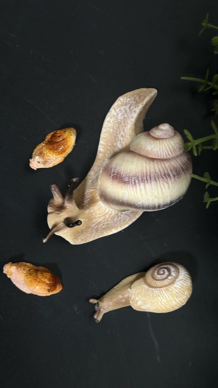 Silicone Mold Realistic Snails Set - Ideas Decor Shop