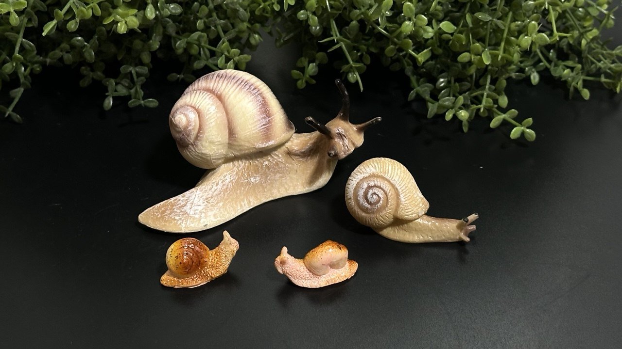 Silicone Mold Realistic Snails Set - Ideas Decor Shop