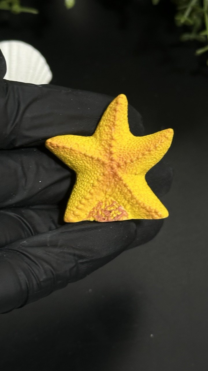 Silicone Mold Sailboat Starfish Seashell Miniature Set - Ideas Decor Shop