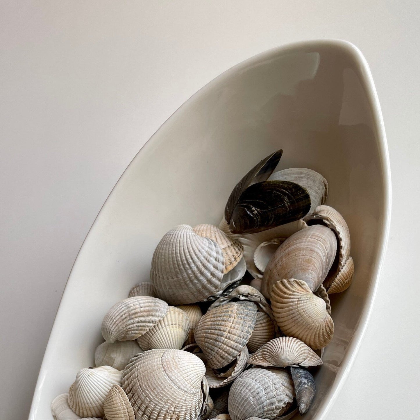 Смешанные морские ракушки: 100 г аквариумной смолы для искусства и украшения свадебного стола